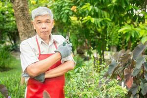 A happy and smiling Asian old elderly man is pruning twigs and flowers for a hobby after retirement in a home. Concept of a happy lifestyle and good health for seniors. photo