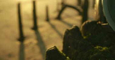 Wristwatch With Seconds Hand Moving On The Rock With Moss At The Harbor Of Vieira Beach, Portugal On A Sunset - close up slowmo panning shot video