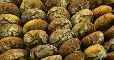 Sourdough Bread Freshly Baked In A Bakery - top view, orbiting video