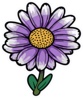 Purple daisy flower, cartoon floral art. For sticker, shirt printing png