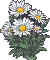 daisy flowers art, floral decorative illustration for sticker and printing png