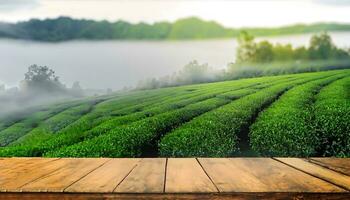 Empty wood table top and Tea farm background. photo