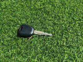black key on green grass with copy space photo