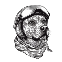 cachorro com cavaleiro capacete png