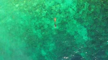 aéreo zumbido ver de un persona haciendo pesca submarina en cristal azul agua. recreativo pescar y verano actividad. Hora de verano. video