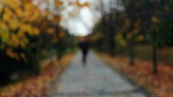 Mens wandelen onder regen in herfst video