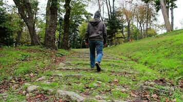 Man walking in natural park with a green nature landscape, man walking over green grass on stairs and walking through trees in natural park, selective focus video