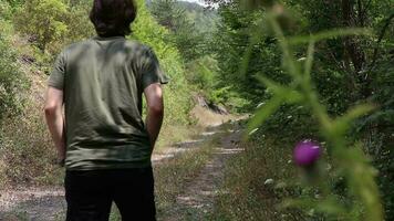 Young man walking in forest sunny day video