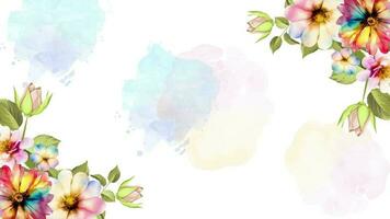 aquarelle magnifique floral Floraison animation de coloré fleurs bannière. Animé 4k épanouissement fleurs Contexte Cadre boucle. video