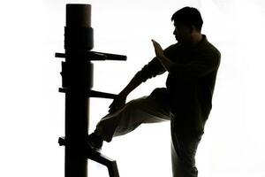 Silhouette of a fighter Wing Chun and wooden dummy on a white background. Wing Chun Kung Fu Self defense. photo