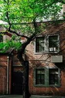 The buildings on many streets in Shanghai still retain the humanistic style of the early 19th century photo