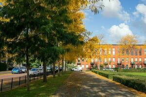 Autumn city landscape. A park with tall yellow and green trees in the city. Trimmed green bushes photo