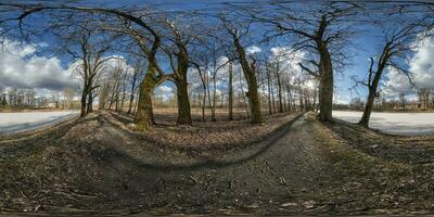 full seamless spherical hdri 360 panorama view on pedestrian walking path among oak grove with clumsy branches near lake in equirectangular projection with , ready VR AR content photo