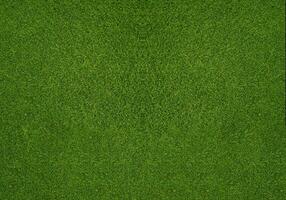 Green grass texture background grass garden concept used for making green background football pitch, Grass Golf, green lawn pattern textured background... photo