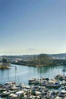 Tacoma, Washington, USA. March 2021. Puget Sound Yachts and Rainier Volcano View photo