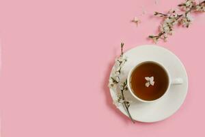 White porcelain cup with black tea. Branches of a blossoming apple tree lie on a gentle pink background. Spring concept. Copy space. Flat lay photo