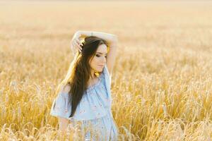 un joven mujer en un azul vestir soportes en un campo de centeno a puesta de sol foto