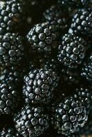 Background from fresh Blackberries, close up. Lot of ripe juicy wild fruit berries lying on the table photo