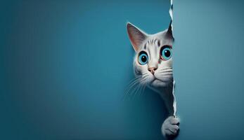 Frightened cat peeks out from behind a corner on a blue background, with copy space, created with technology photo