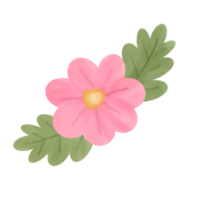 illustration de fleur rose png