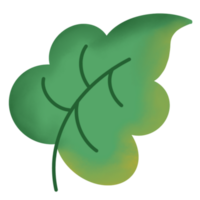 ilustração de folhas verdes png