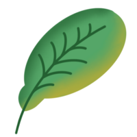 illustration de feuilles vertes png