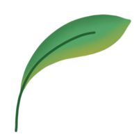 green leaves illustration png