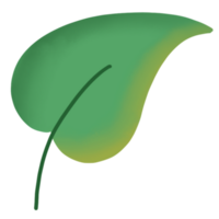 ilustración de hojas verdes png