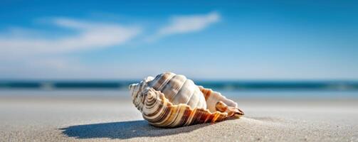 Sea shell on tropical sea and sandy beach blue sky background. Generative AI photo