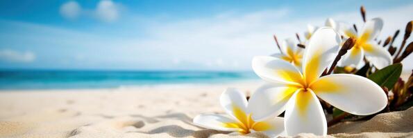 Plumeria Frangipani on tropical sea and beach blue sky background, Summer festive time. Generative AI photo