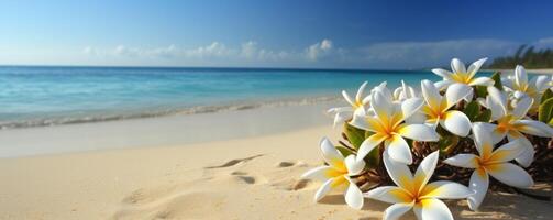 Plumeria Frangipani on tropical sea and beach blue sky background, Summer festive time. Generative AI photo