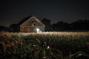 A corn field with a barn in the background at night. photo