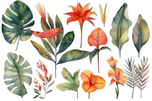 Collection of watercolor wild tropical leaves and flowers jungle plant leaves isolated on white background monstera hibiscus flower calla lily strelizia watercolor botanical illustration. photo