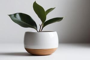 un moderno y minimalista planta maceta en un blanco antecedentes. ai generado foto