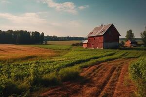 Fields with a red barn in the summertime countryside countryside setting farm construction farm upbringing. photo