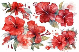 coleccion rojo hibisco flores y hojas pintado con acuarelas en blanco antecedentes elementos diseño. ai generado foto