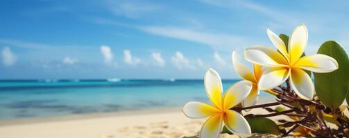 plumeria frangipani en tropical mar y playa azul cielo fondo, verano festivo tiempo. generativo ai foto