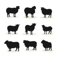 conjunto oveja silueta vector ilustración