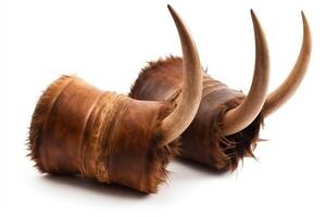 Highland brown cow horns isolated on white. photo