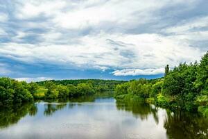 caña de pantano de hierba hermosa que crece en el embalse de la costa en el campo foto