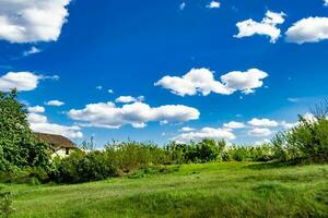 Beautiful horizon scenery in village meadow on color natural background photo