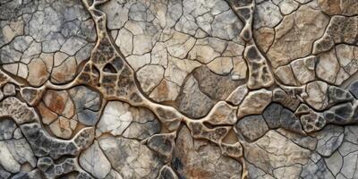 Abstract stone texture background. Created photo