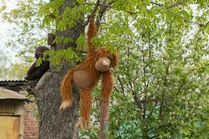 un juguete grande mono cuelga en un árbol. foto