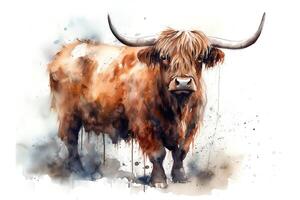 Full body shot of a highland farm cow watercolor. photo