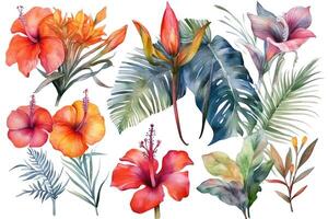 Set of tropical exotic bouquets with hibiscus flowers butterfly tree flowers bird in paradise and banana leaves monstera and palm leaves hand drawn watercolor illustration hawaiian mood. photo
