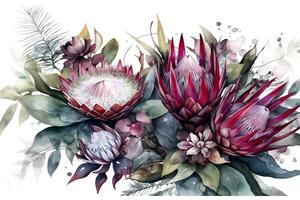 Banner with branches purple protea flowers plumeria hibiscus and tropical plants hand drawn watercolor painting on white background. photo