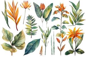 Collection of watercolor wild tropical leaves and flowers jungle plant leaves isolated on white background watercolor botanical illustration. photo