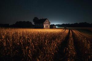 A corn field with a barn in the background at night. photo
