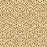 Beautiful background plaid colorful. Design for gradient using background photo