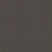Beautiful background plaid colorful. Design for gradient using background photo